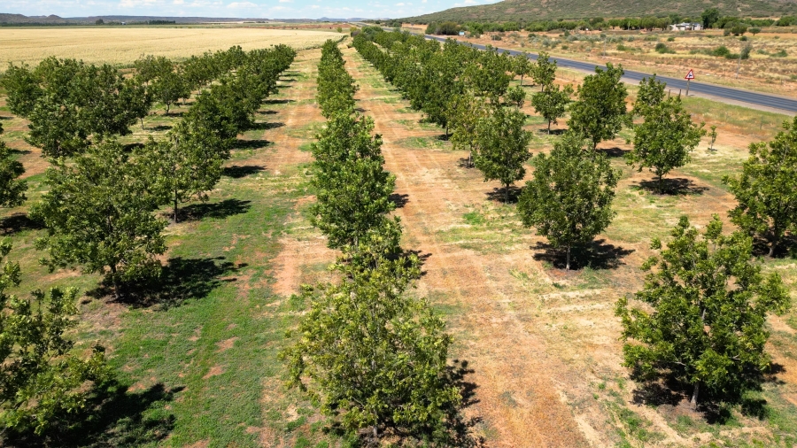 0 Bedroom Property for Sale in Hopetown Northern Cape